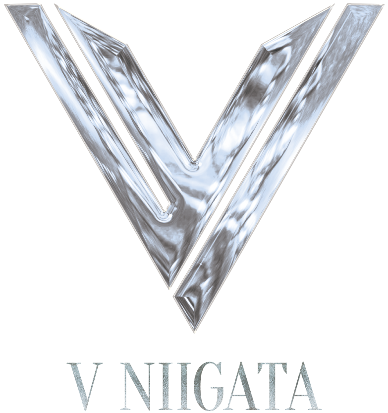 V NIIGATA